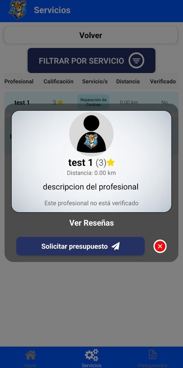 Detalles del profesional